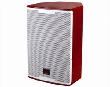 FT10 十寸音箱  （单价：￥11200元）